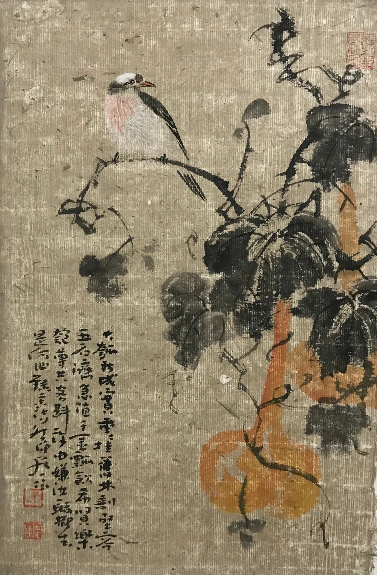 圖片