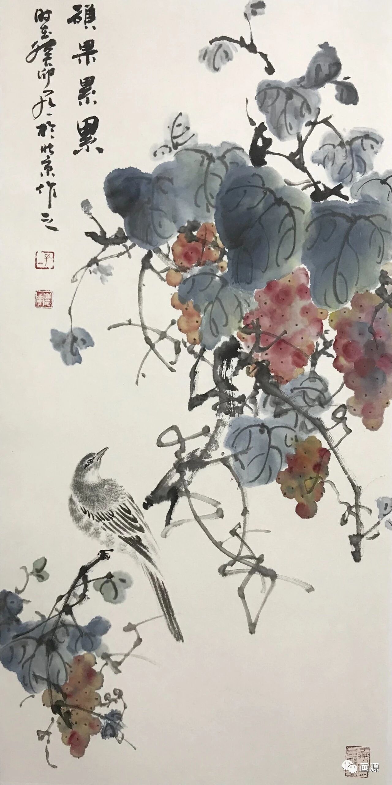 圖片